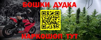мдпв Кингисепп