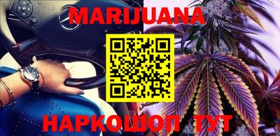 мдпв Кингисепп
