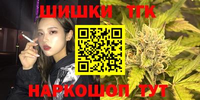 мдпв Кингисепп