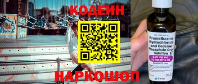 мдпв Кингисепп