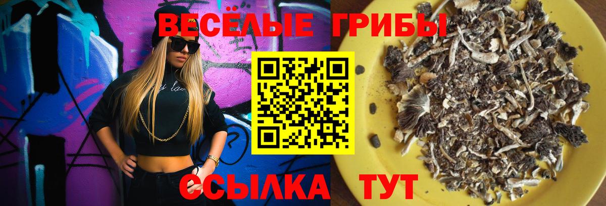 Куйбышев  Псилоцибиновые грибы GOLDEN TEACHER  Вход с VPN 