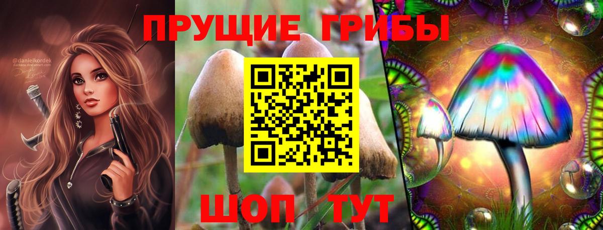 Галлюциногенные грибы мицелий Куйбышев